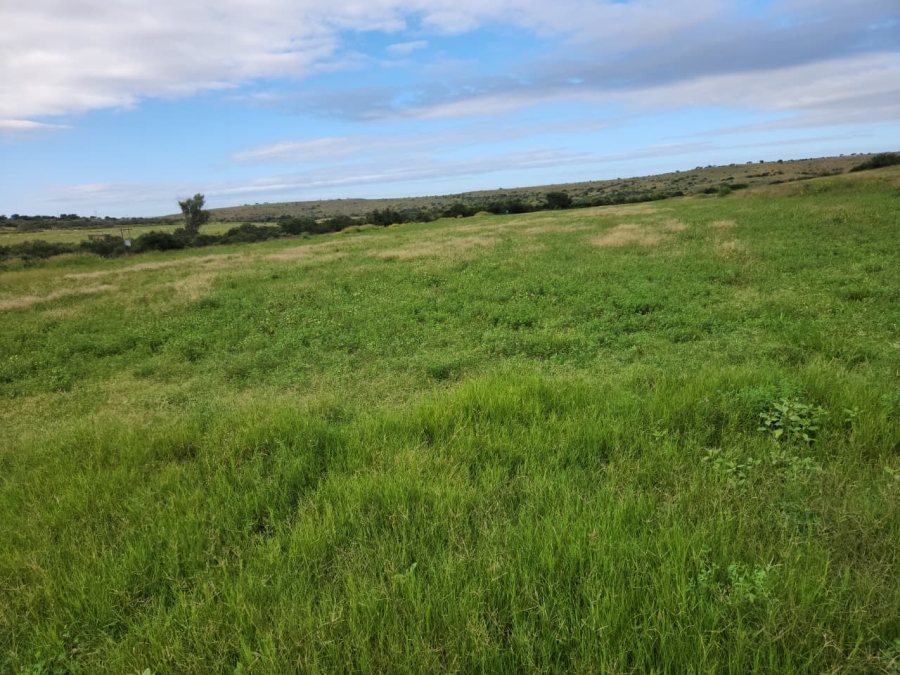 Commercial Property for Sale in Somerset East Rural Eastern Cape